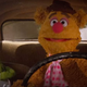 Illustration for article titled Kermit and Fozzie keep it gangsta, cover N.W.A.’s “Express Yourself”